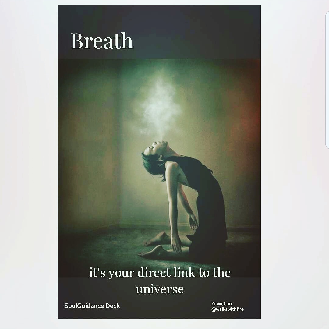 IMG_20171109_081300_921