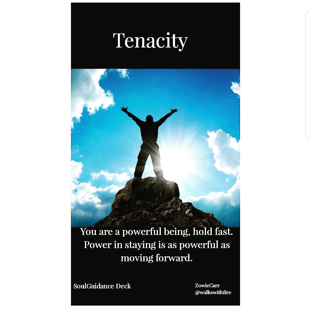 IMG_20171111_074634_977