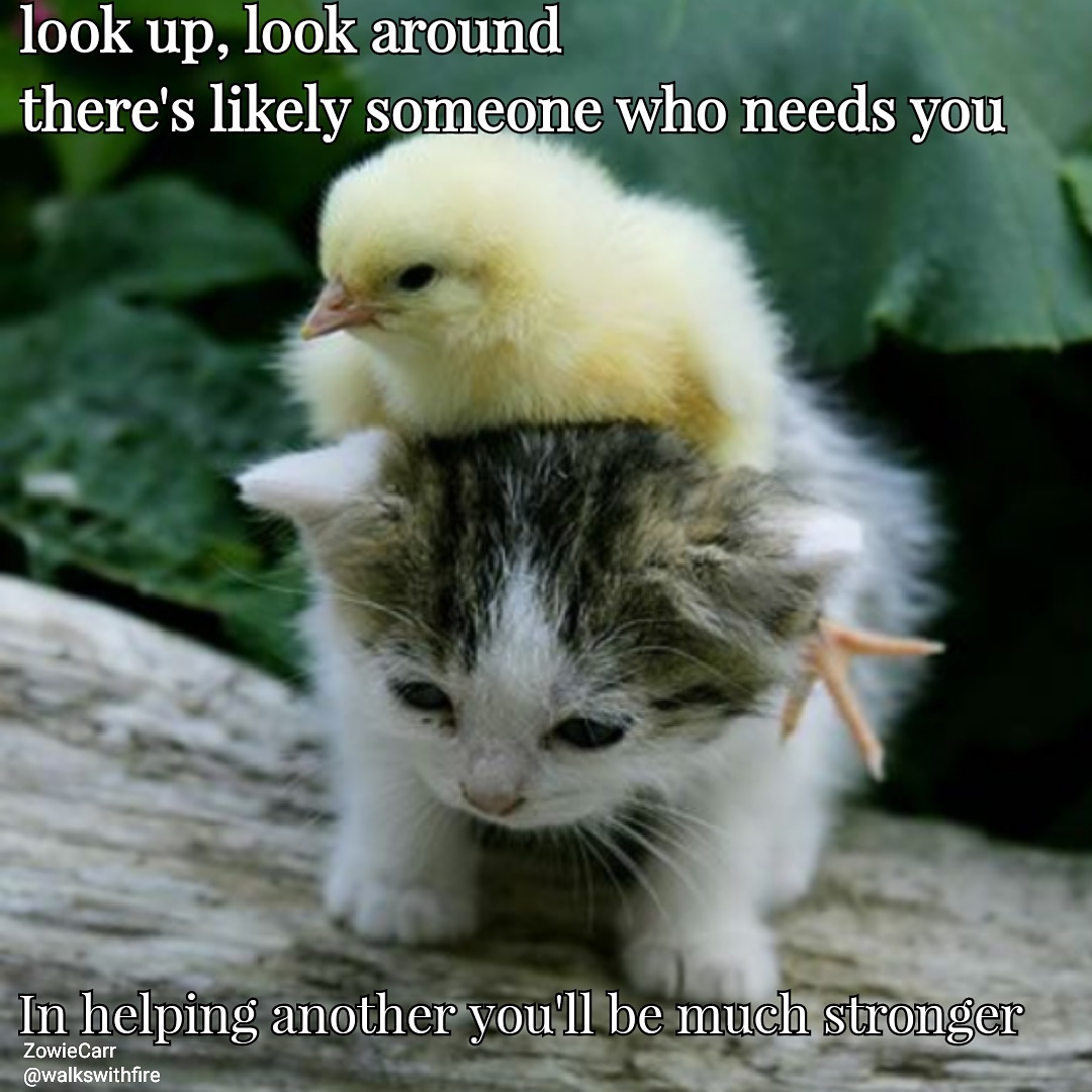 IMG_20171113_204828_016