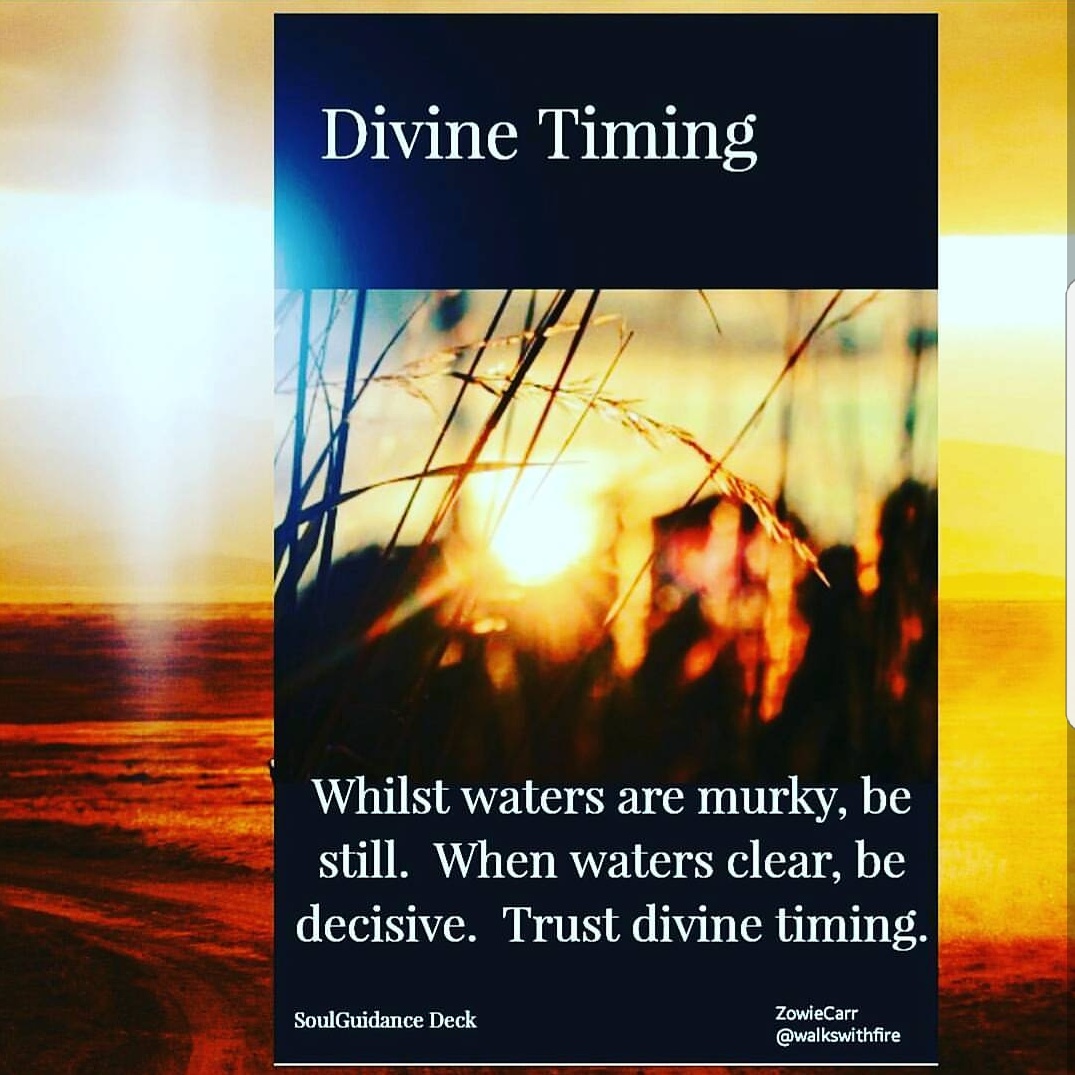 IMG_20171116_080913_820