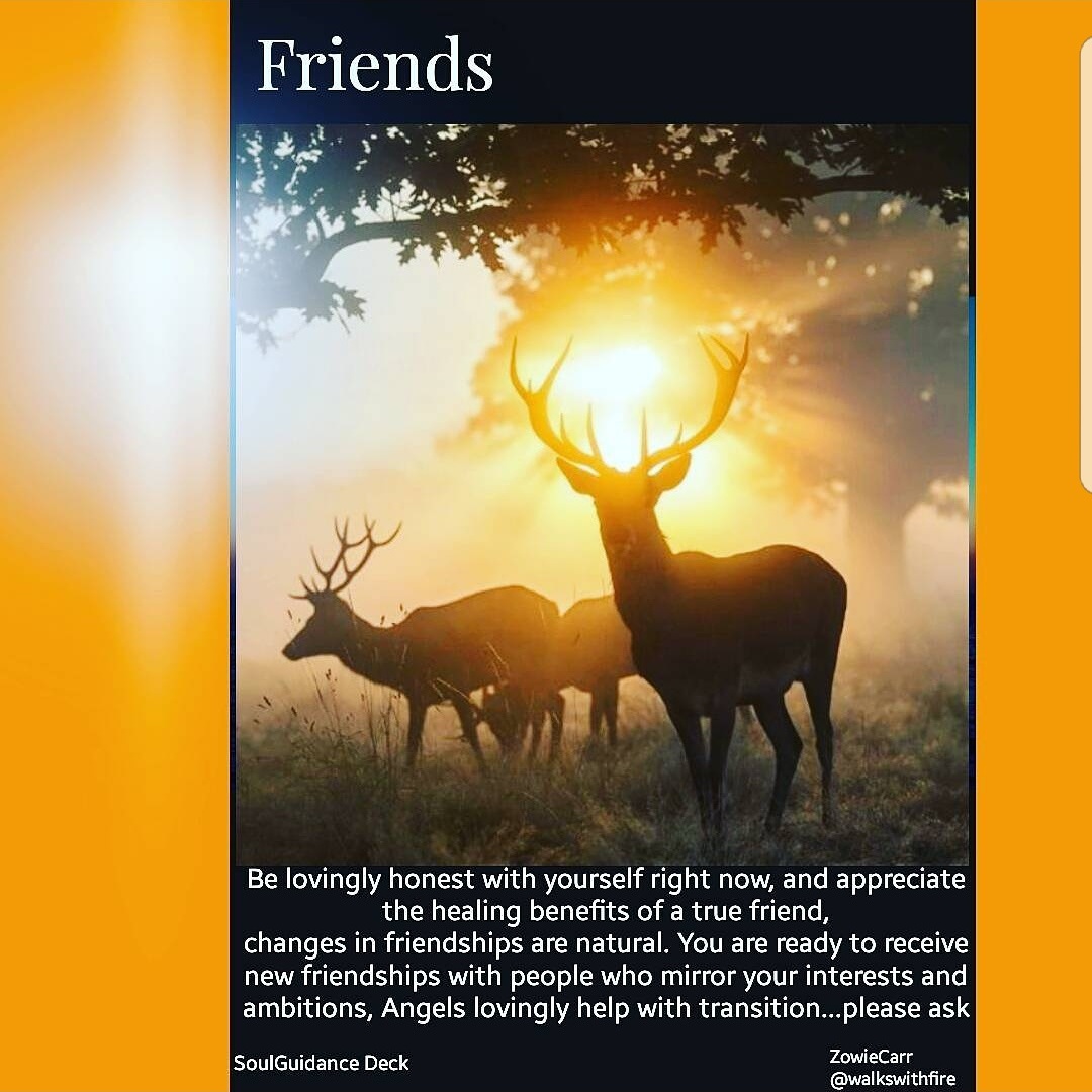 IMG_20171129_080517_372