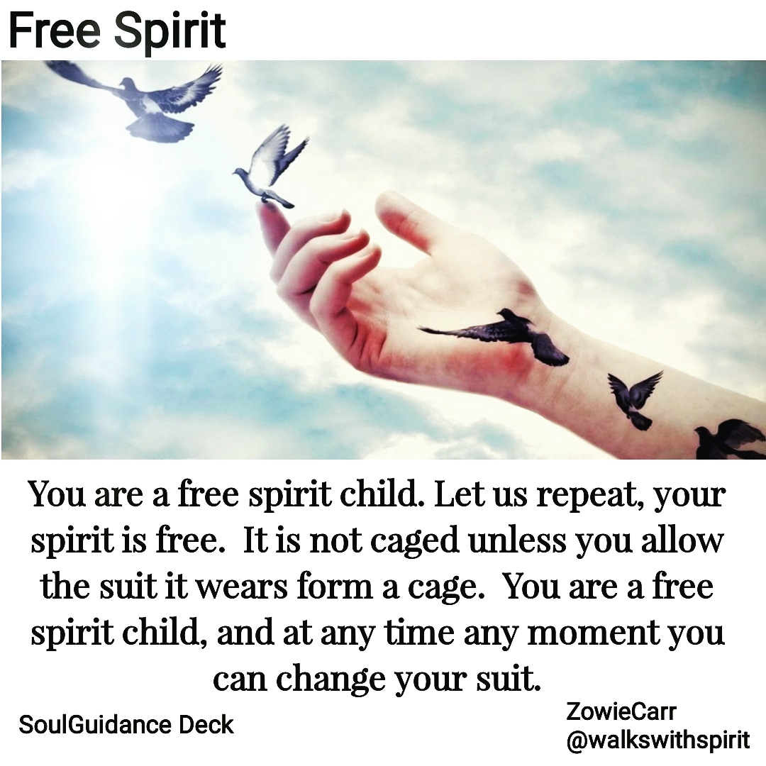 IMG_20180722_081529_397