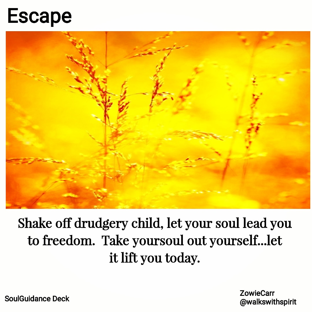 IMG_20180725_112620_854