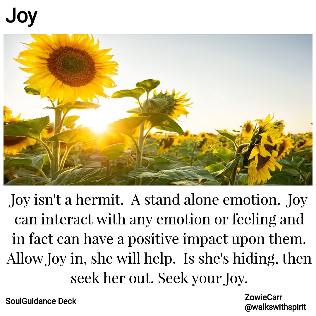 IMG_20180730_100507_369