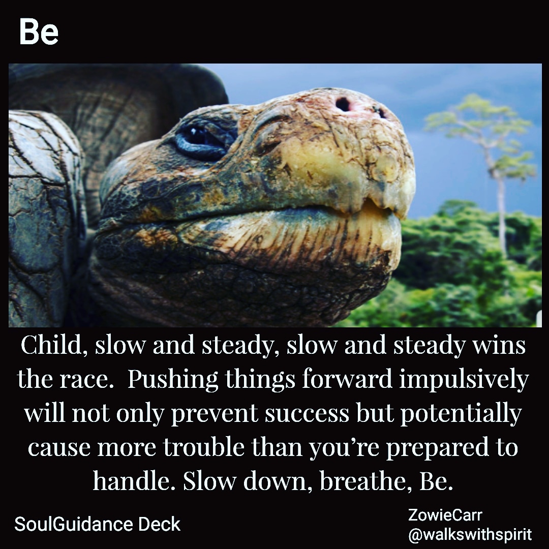 IMG_20180805_090233_952