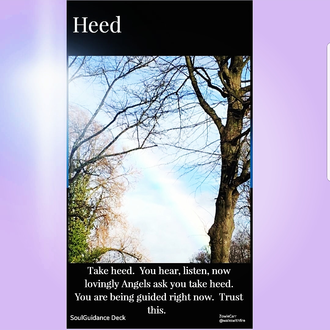 IMG_20180816_120212_565