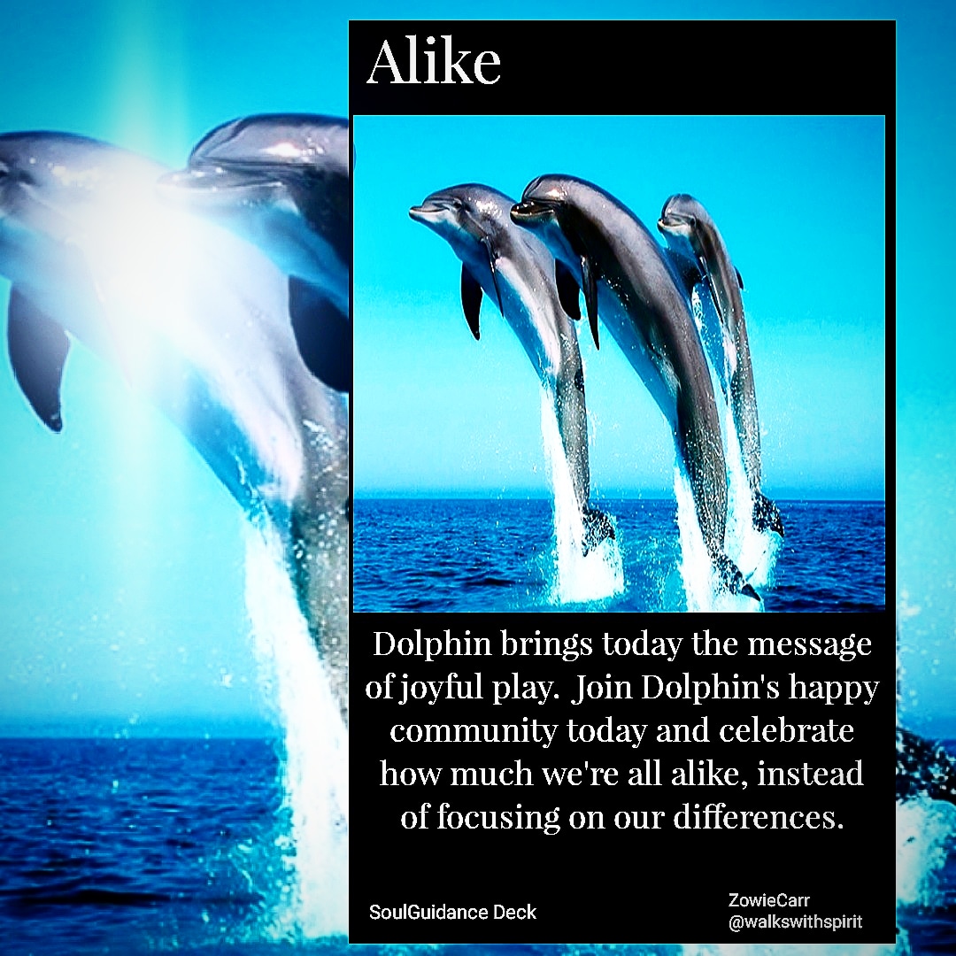 IMG_20181025_093631_951