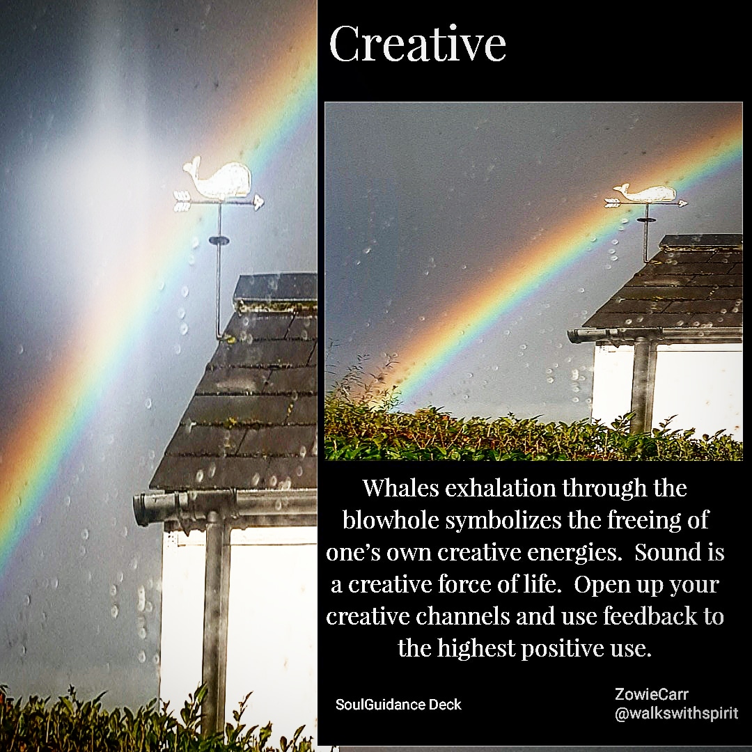 IMG_20181029_093131_219