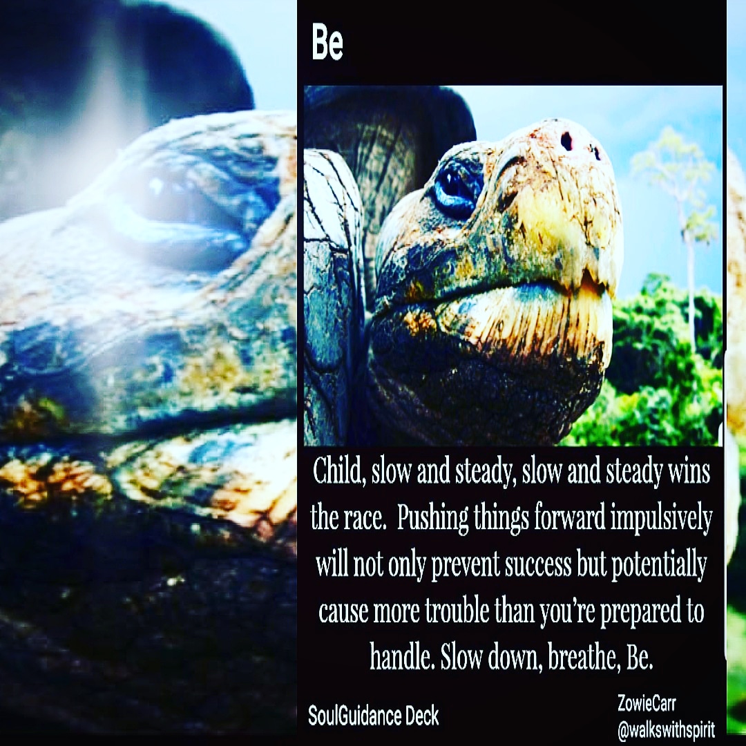 IMG_20181030_080038_933