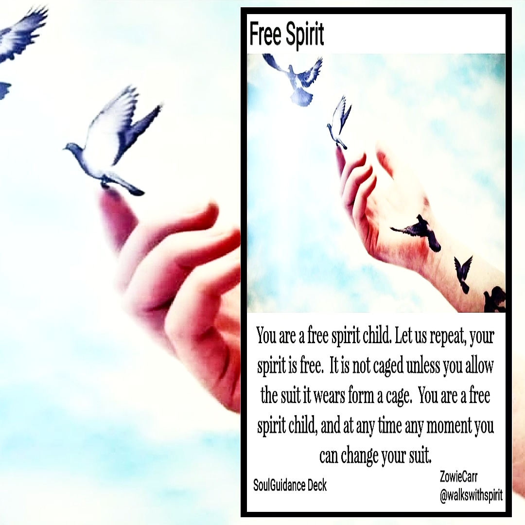 IMG_20181102_084119_452