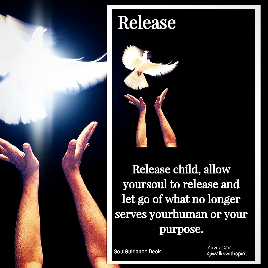 IMG_20181111_124152_656