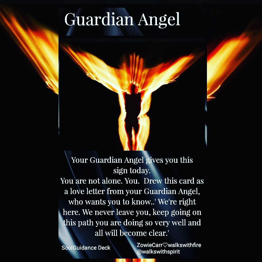 IMG_20190312_073657_291